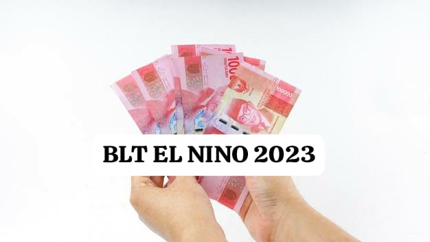 Syarat dan Cara Cek Penerima BLT El Nino