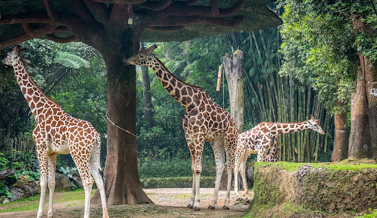 Kunjungan Wisatawan ke Jabar Menurun, Baru 80 Persen Dari Target