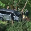 Kronologi Minibus Masuk Persawahan di Bogor