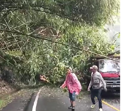 Longsong dan Pohon Tumbang di Kawasan Cadas Pangeran Sumedang, 2 Mobil Tertimbun