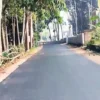 Heboh! Jalan Jatimulya Citimun Kini Mulus dan Sejuk! Pemerintah Siap Perbaiki Jalan Rusak Tahun Depan!