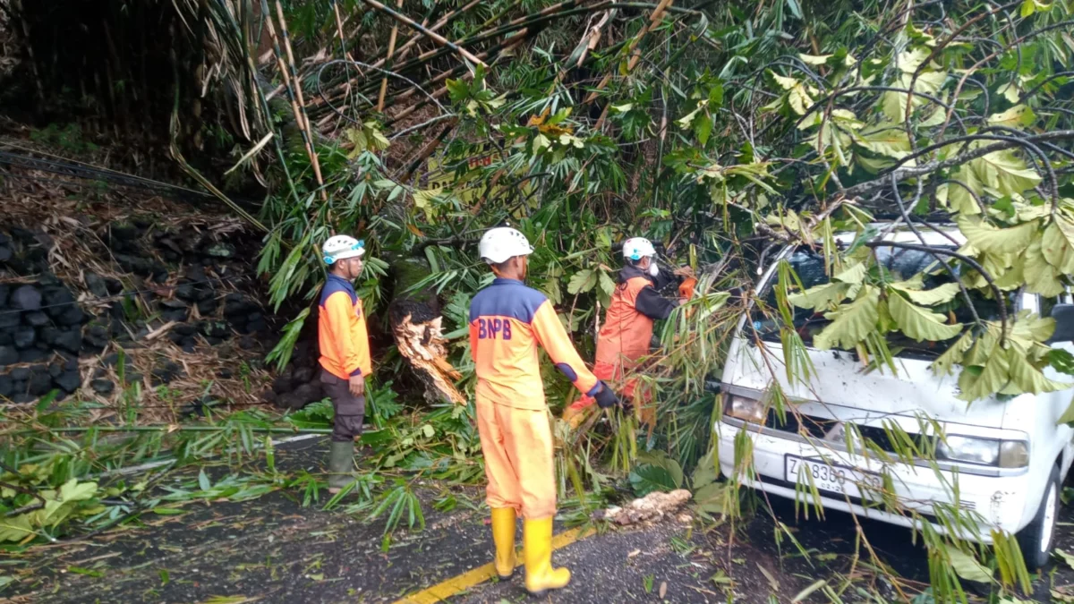 EVAKUASI: Petugas BPBD Kabupaten Sumedang sedang membersihkan sisa pohon yang tumbang dan menutup jalan di jalur Corebon-Bandung, tepatnya di wilayah Kecamatan Pamulihan, kemarin.