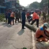 Pemangkasan Pohon di Jalan Cadas Pangeran oleh BPBD