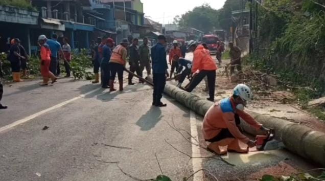 Pemangkasan Pohon di Jalan Cadas Pangeran oleh BPBD