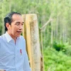 Jokowi Bakal Groundbreaking ke IKN Lagi Besok, Ini Proyeknya