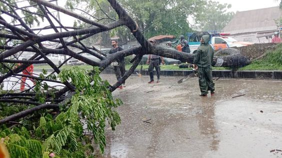 Tantangan Pemangkasan dan Penebangan Pohon oleh BPBD Sumedang: Koordinasi dan Keterbatasan Anggaran