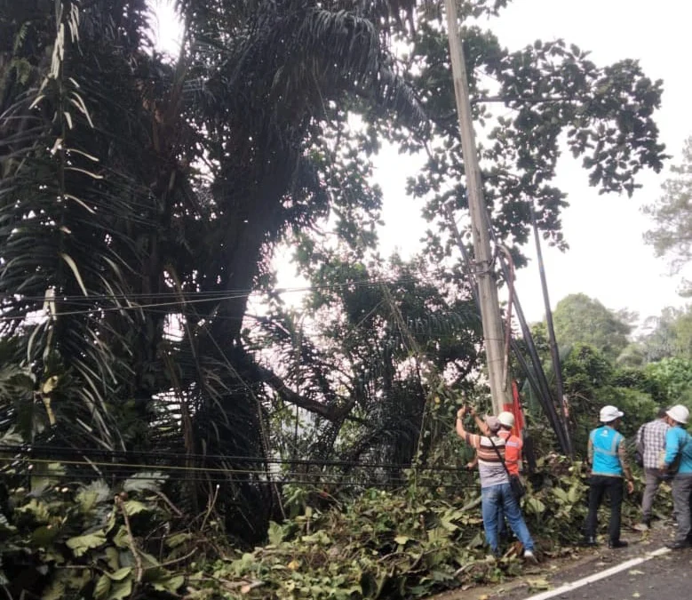 PLN Gerak Cepat Amankan tiang Tumbang di Cadas Pangeran Sumedang