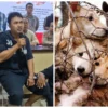 Ternyata Sindikat Penjualan Anjing Ini Beli dari Sumedang, Rp 250.000 Per Ekor