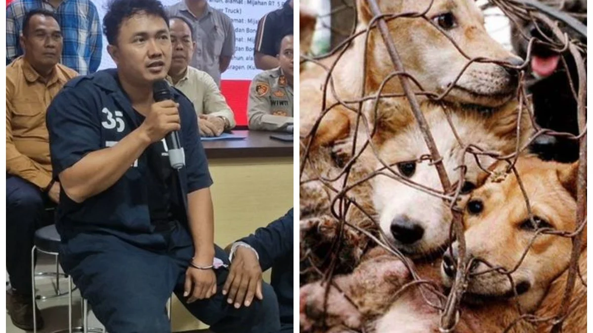 Ternyata Sindikat Penjualan Anjing Ini Beli dari Sumedang, Rp 250.000 Per Ekor