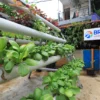 Menyusuri Kampung Palm Eco Green Village Malang, Makin Asri Berkat Program BRInita