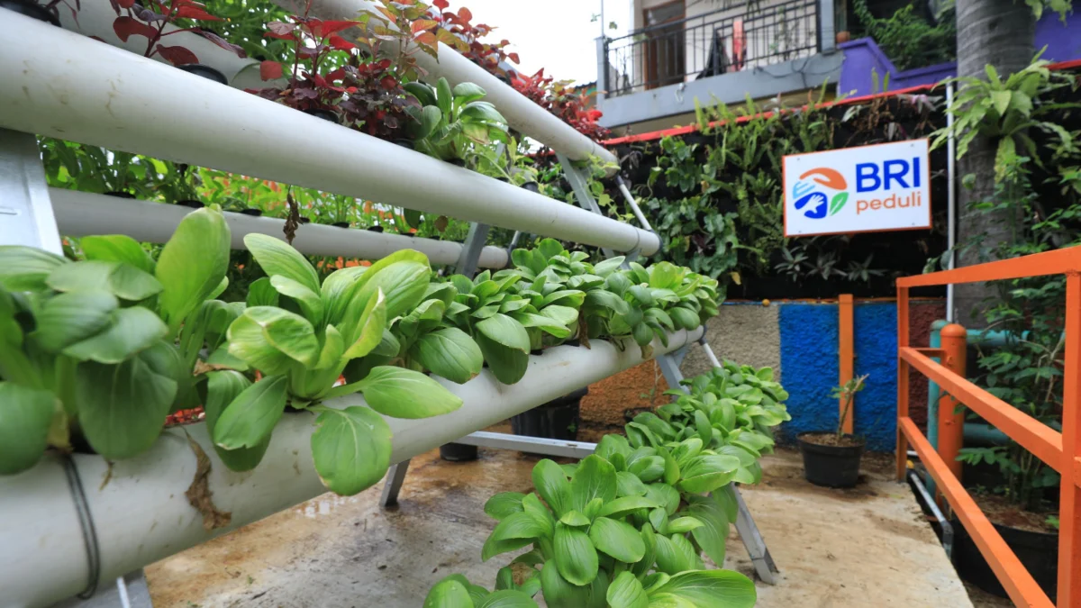 Menyusuri Kampung Palm Eco Green Village Malang, Makin Asri Berkat Program BRInita