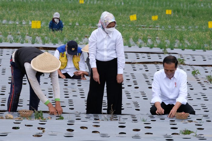 Cak Imin Kritik Food Estate Terus, Seburuk Itu Kah?