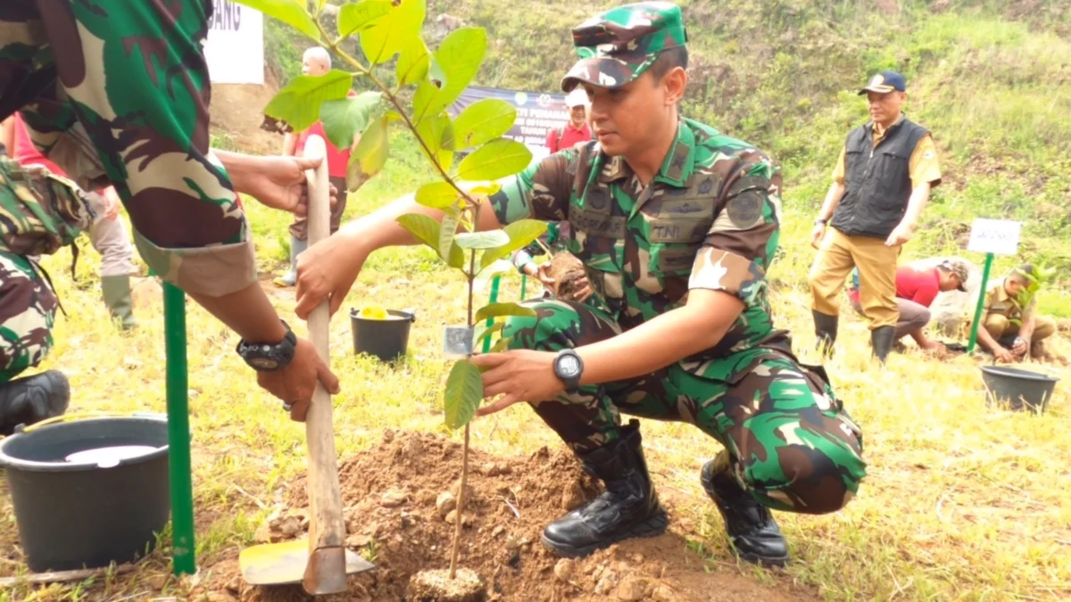 Jaga Longsor dengan Tanam Pohon