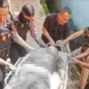 EVAKUASI: Sejumlah petugas kepolisian bersama warga tengah membawa pelaku pembacokan dari tempat kejadian perkara menuju RSUD Sumedang, kemarin.