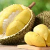 Kenapa Durian Disebut Raja Buah? Ini 5 Alasannya!