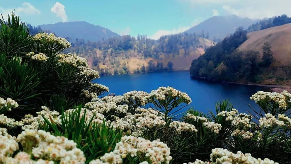 3 Cerita Mistis Gunung Semeru Bikin Merinding, Mendaki Dengan Orang Yang Telah Meninggal