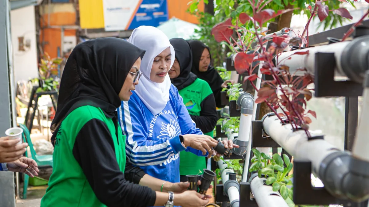 Berkat Program BRInita, Kelompok PKK Rawa Barat Sukses Budidaya Hidroponik dan Ikan Nila