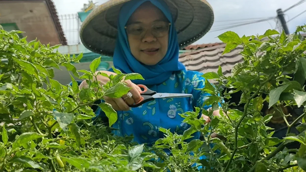 Program BRInita Sukses Jadikan Kelurahan Padjajaran Bandung Jadi Percontohan Urban Farming