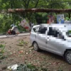 Pohon Tumbang di Gunung Kunci Sumedang