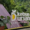 Daftar Menu dan Harga Menggoda dari Kebun Durian Sangiang Bedil Sumedang