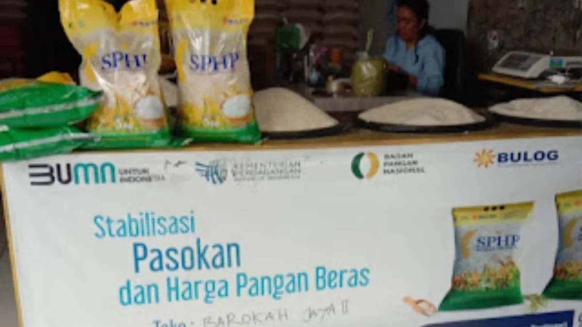 Beras Bulog Dibandrol Rp 10 Ribu Per Kilogram