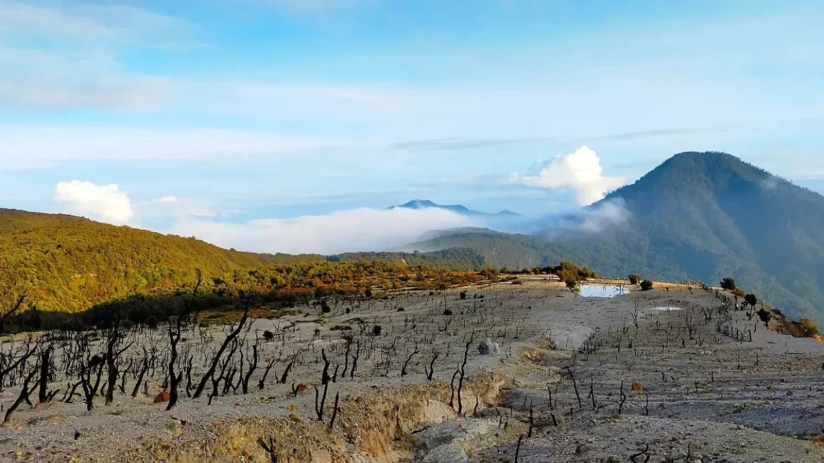 Kisah Mistis di Gunung Papandayan, No 3 Si Rupawan Yang Menelan Korban