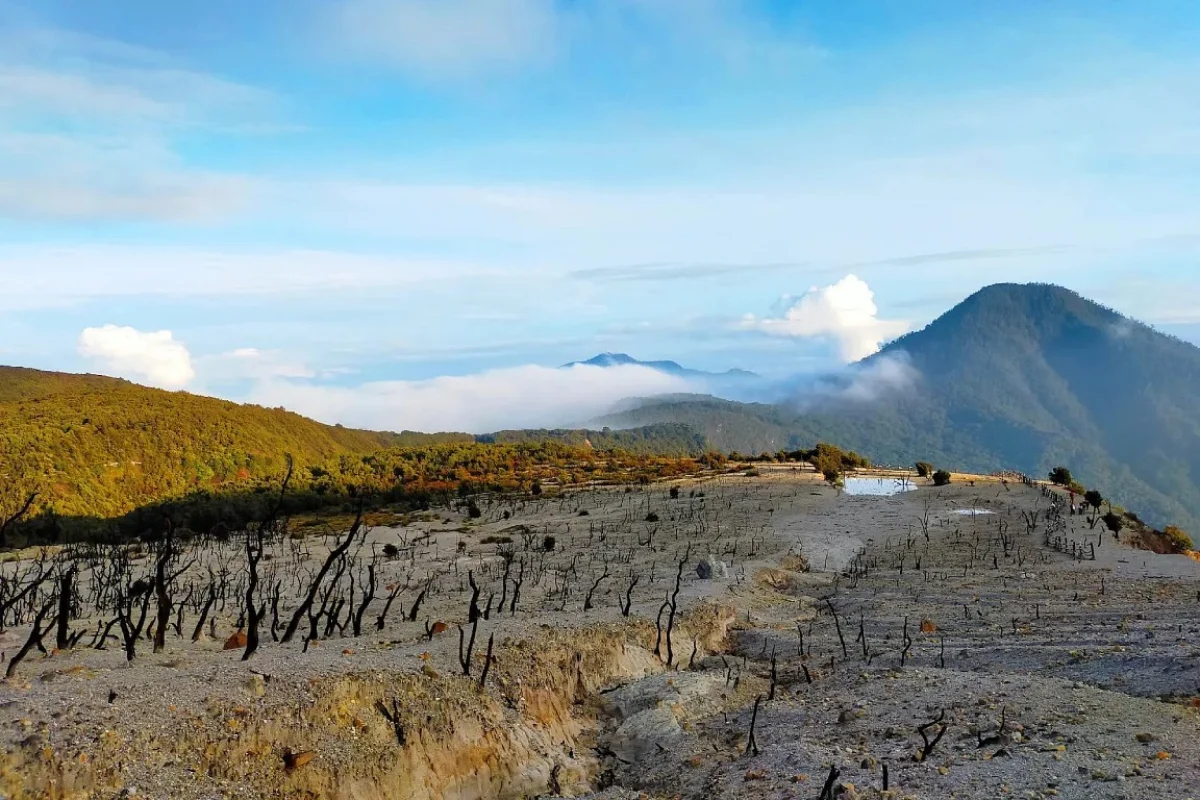 3 Kisah Mistis di Gunung Papandayan, Si Rupawan Yang Menelan Korban ...