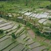 Bantuan untuk Kebutuhan Program STARBAK Sudah Disusun Pemkab Sumedang