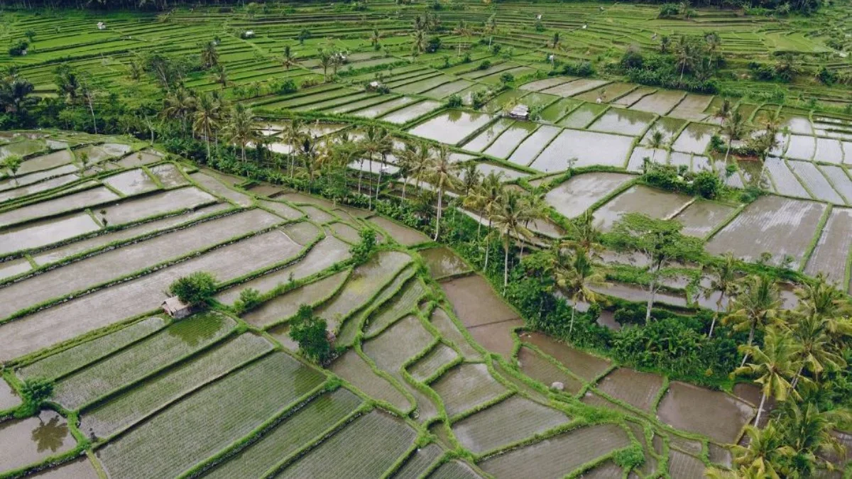 Bantuan untuk Kebutuhan Program STARBAK Sudah Disusun Pemkab Sumedang