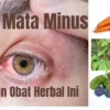 Kamu Harus Tahu Ini! 5 Obat Herbal Ini Terbukti Ampuh Untuk Mengatasi Mana Minus