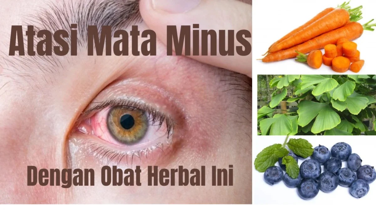 Kamu Harus Tahu Ini! 5 Obat Herbal Ini Terbukti Ampuh Untuk Mengatasi Mana Minus