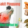 Kamu Sakit Pinggang? Pakai 5 Obat Herbal Sakit Pinggang Ini Terbukti Ampuh dan Manjur