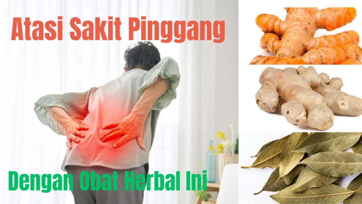 Kamu Sakit Pinggang? Pakai 5 Obat Herbal Sakit Pinggang Ini Terbukti Ampuh dan Manjur