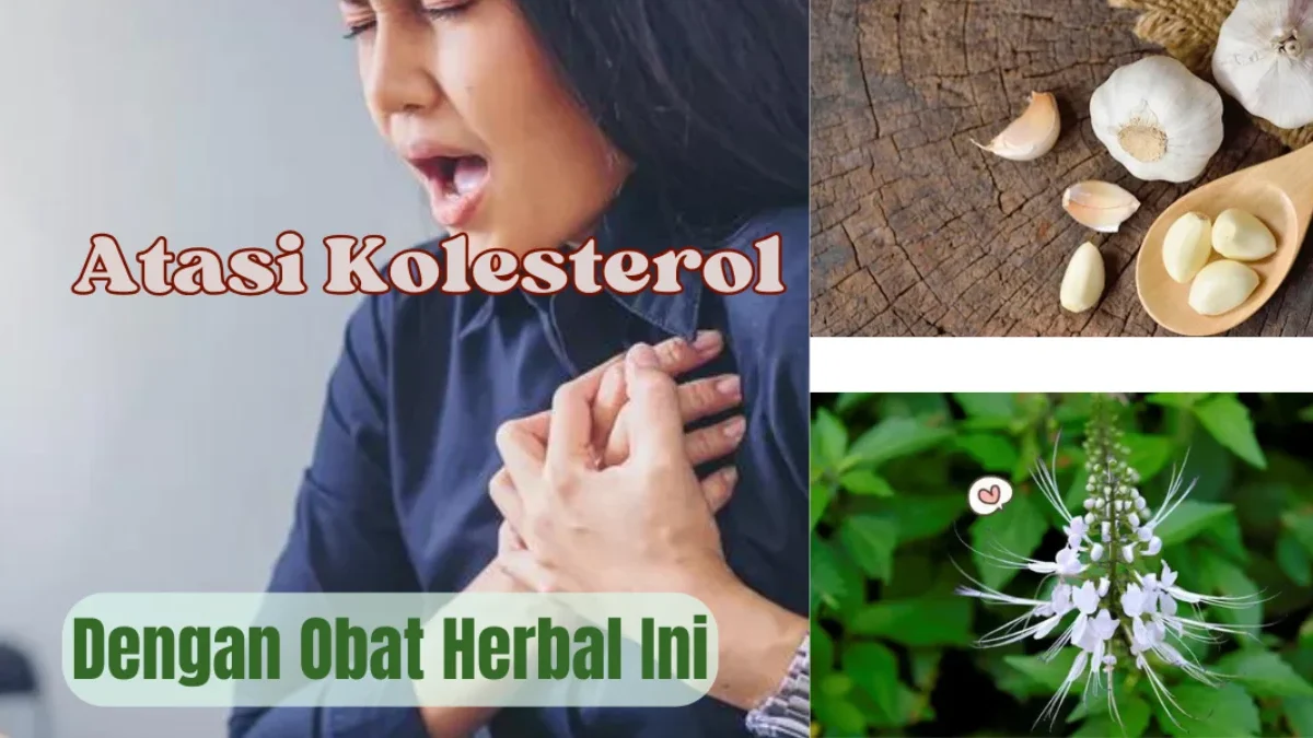 5 Obat Herbal Untuk Kolesterol, Solusi Alami Untuk Kesehatan tanpa Efek Samping