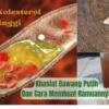 Khasiat Bawang Putih Untuk Kolesterol Tinggi, Berikut Cara Membuat Obat Herbal Untuk Kolesterol Tinggi