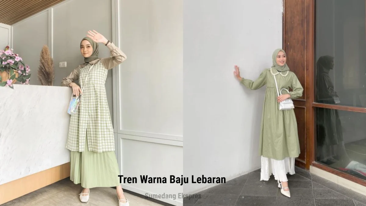 Arti Hijau Sage, Tren Warna Baju Lebaran 2023 yang Pernah dipake Presiden Jokowi