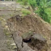 BENCANA: Meskipun sebagian lahan sekolah tergerus longsor, namun sejumlah guru di salah satu sekolah dasar .