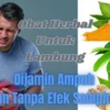 5 Obat Herbal Untuk Lambung Ini Terbukti Ampuh, Sangat Mudah Ditemukan dan Tanpa Efek Samping