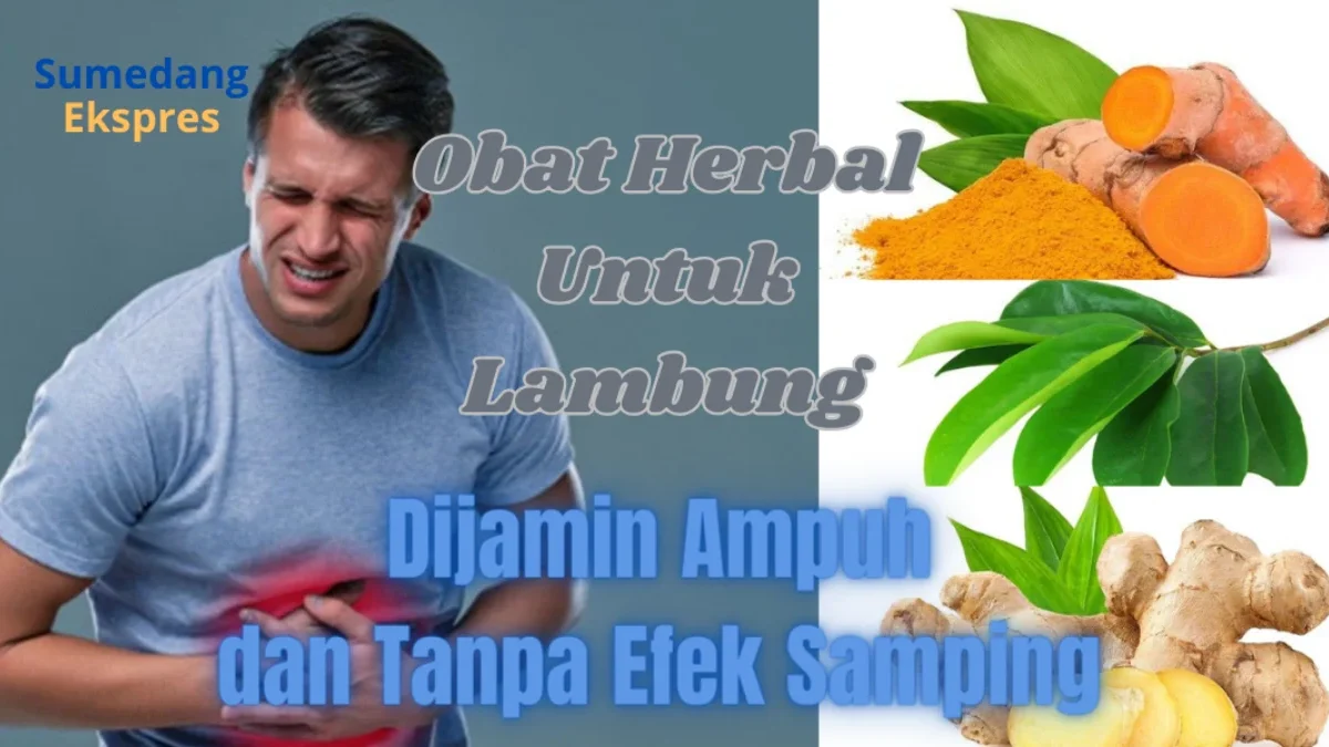 5 Obat Herbal Untuk Lambung Ini Terbukti Ampuh, Sangat Mudah Ditemukan dan Tanpa Efek Samping