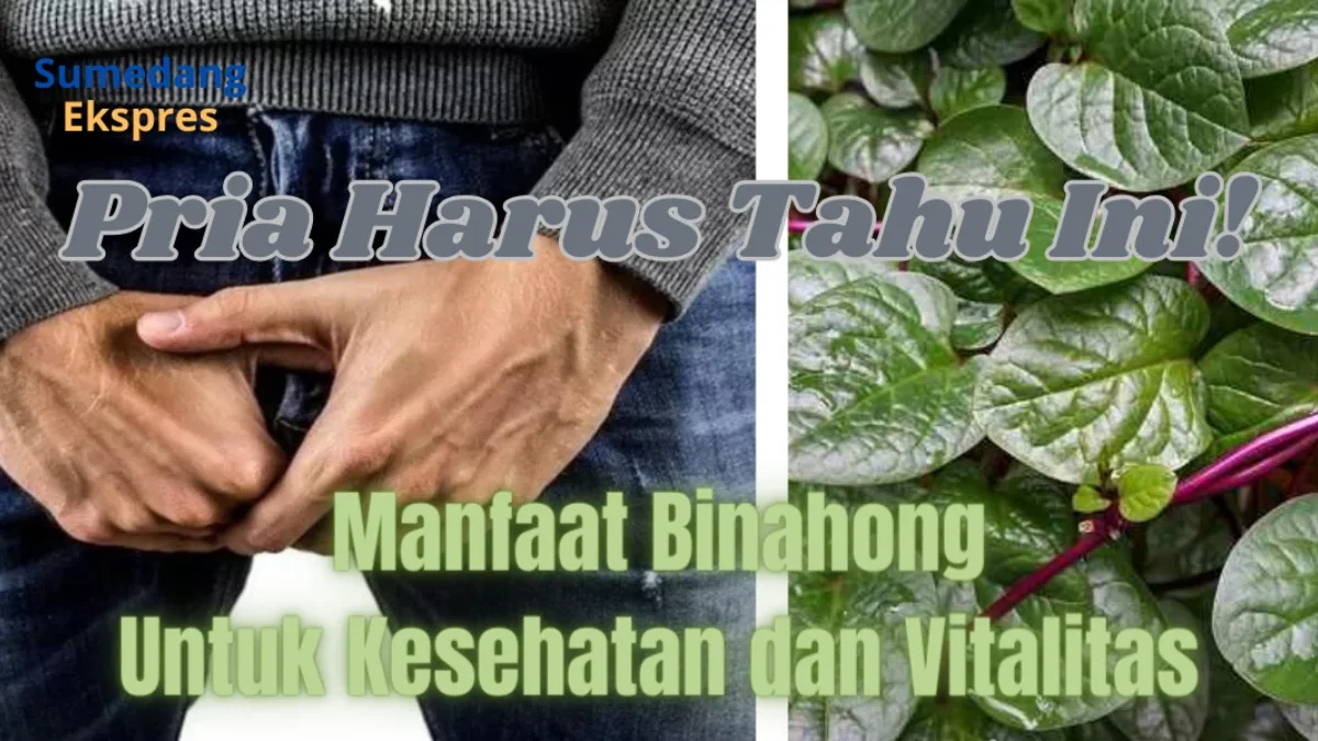 Pria Harus Tahu! Inilah 5 Manfaat Binahong Untuk Pria Jaga Kesehatan dan Vitalitas