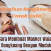 5 Manfaat Bengkoang Untuk Kesehatan Kulit dan Cara Membuat Masker Bengkoang dengan Mudah