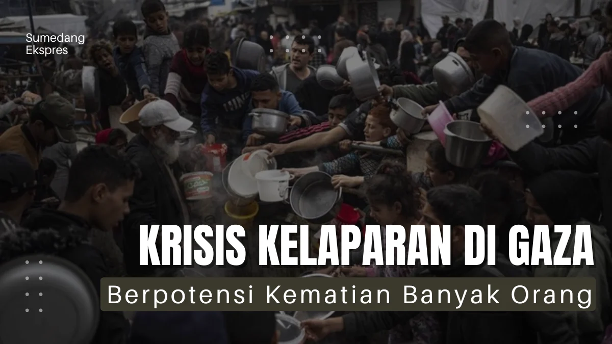 Krisis Kelaparan di Jalur Gaza Bisa Akibatkan Kematian Masal