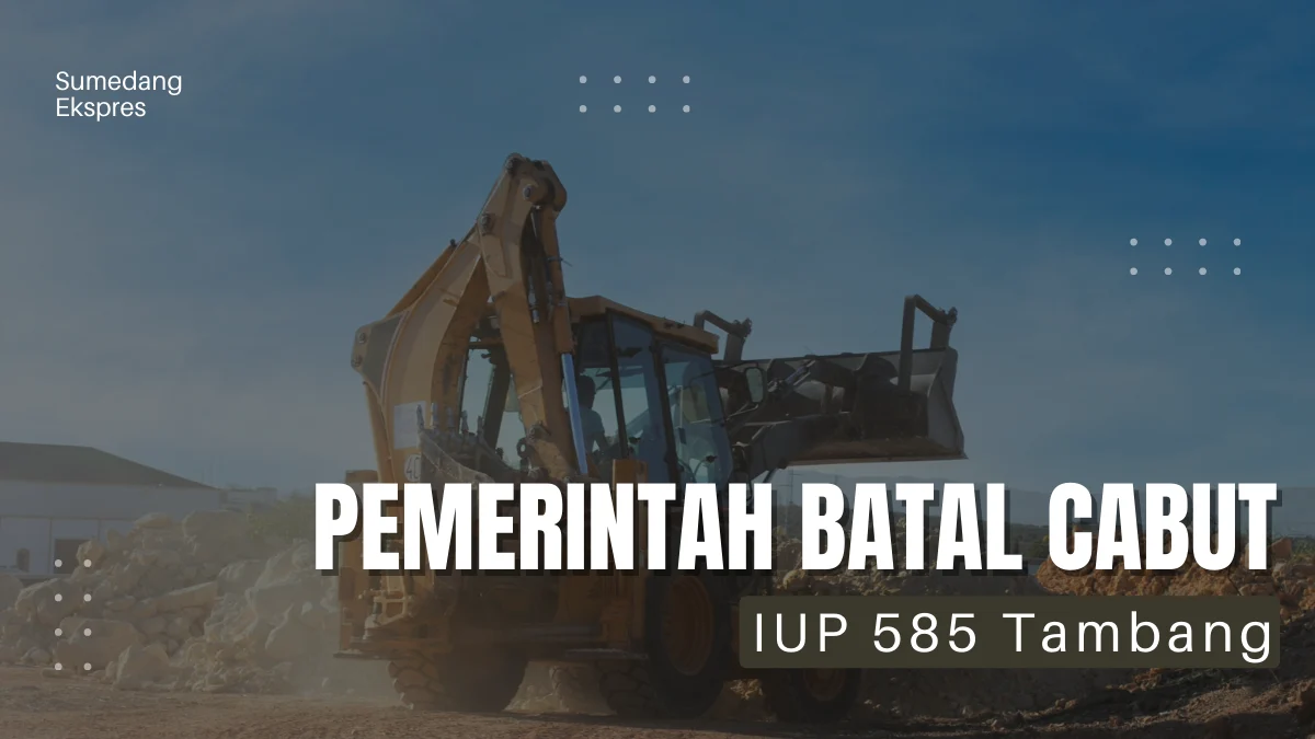 Wah wah Pemerintah Batal Cabut IUP 585 Tambang, Kenapa ya?