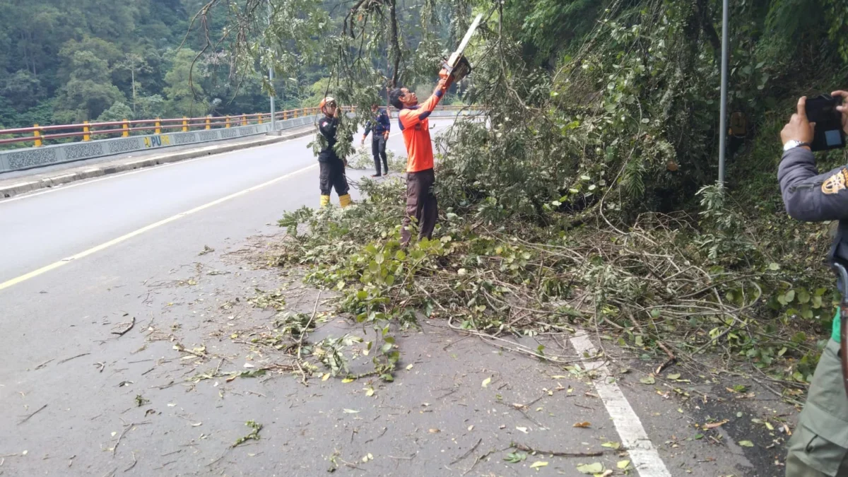 ISTIMEWA AMANKAN: Petugas BPBD Sumedang saat menertibkan pohon tumbang di kawasan Cadas Pangeran, belum lama