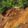 Tim SAR Gabungan Masih Melakukan Pencarian Satu Orang Tertimbun Longsor di Kabupaten Bogor