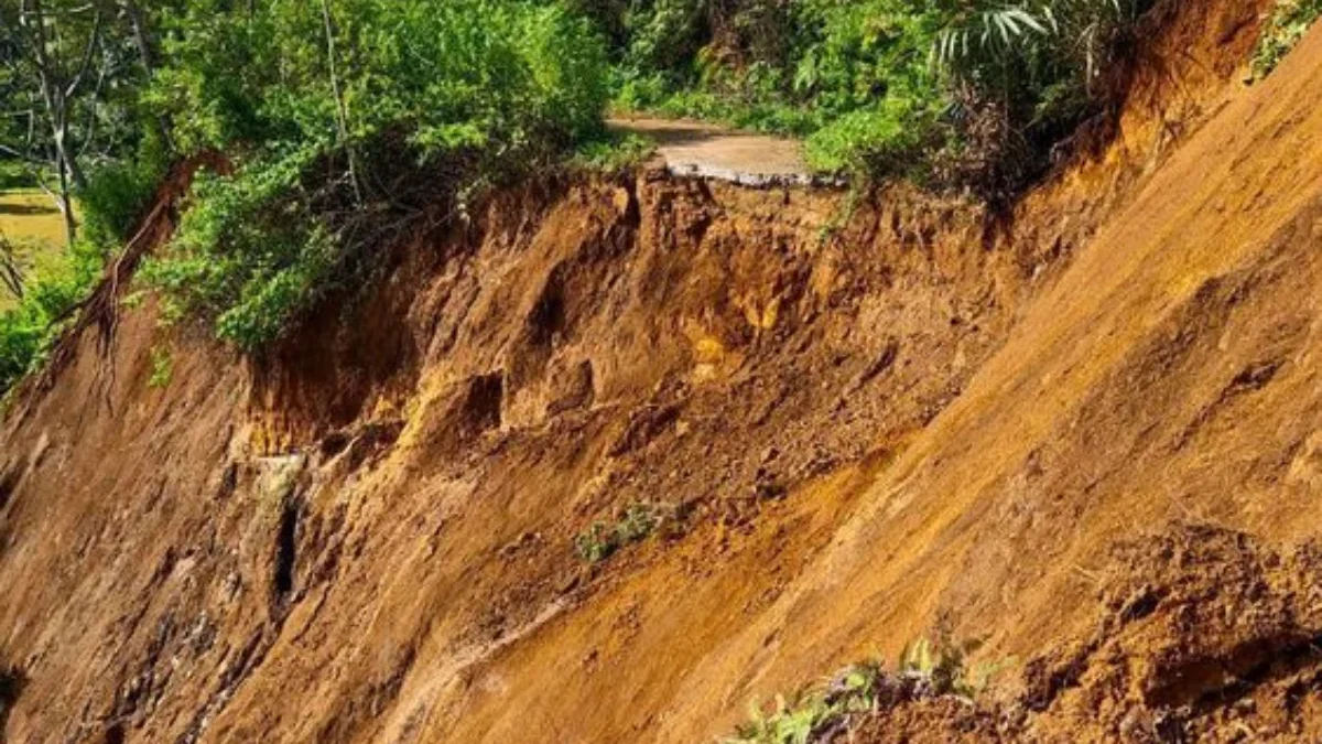 Tim SAR Gabungan Masih Melakukan Pencarian Satu Orang Tertimbun Longsor di Kabupaten Bogor