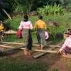 Eksplorasi Kaya Budaya dan Manfaat Mendalam dari Tari Rangkuk Alu Manggarai, NTT