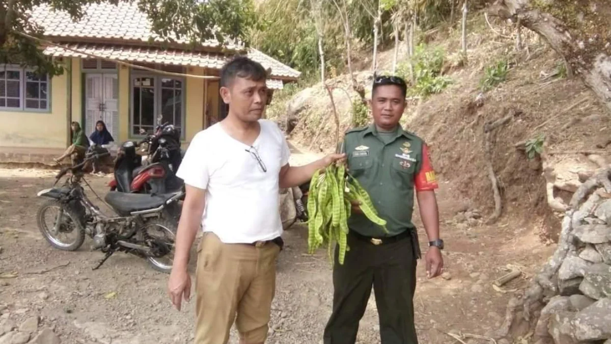 TUNJUKKAN: Warga saat menunukan salah satu hasil bumi dari Kecamatan Surian, petai.