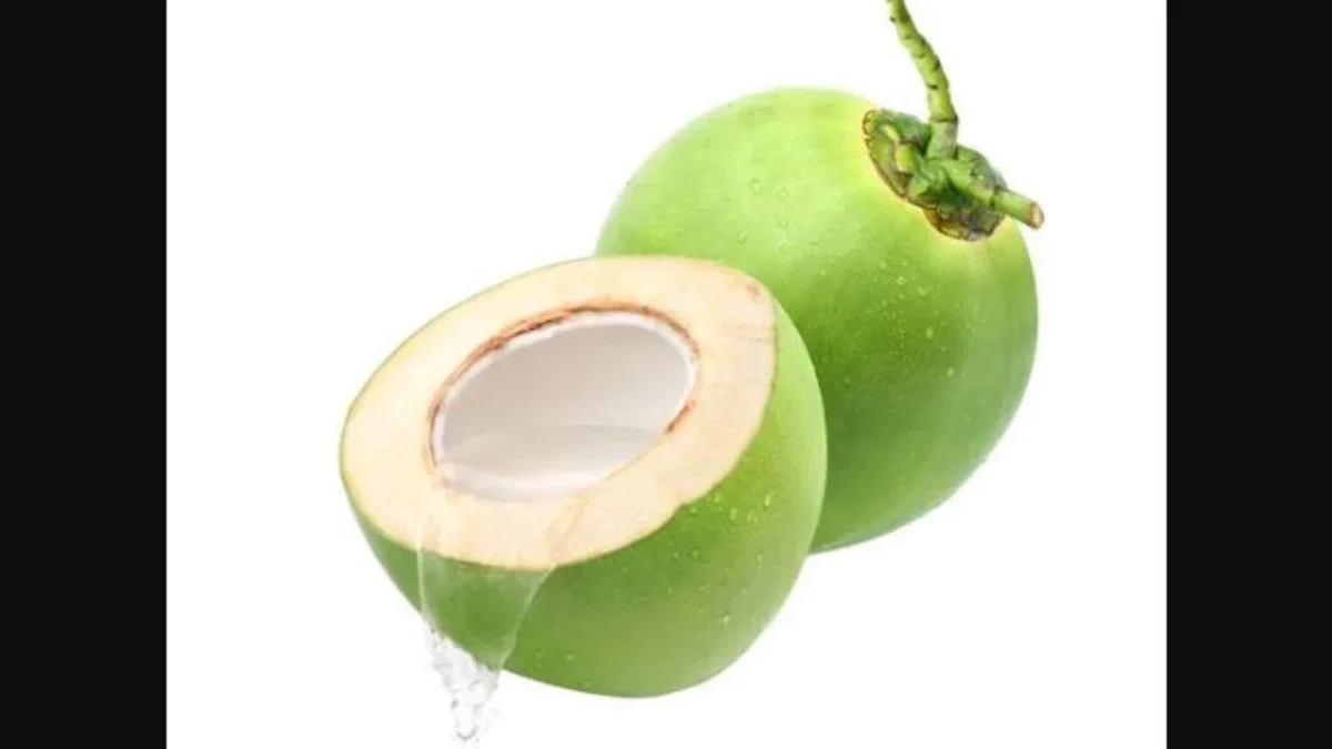 air kelapa