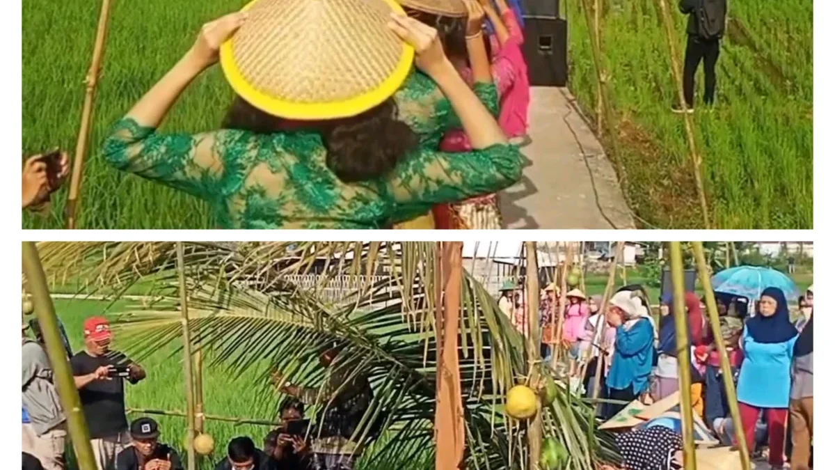 Festival Sawah di Desa Baginda Sumedang